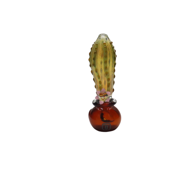 PIPA CACTUS